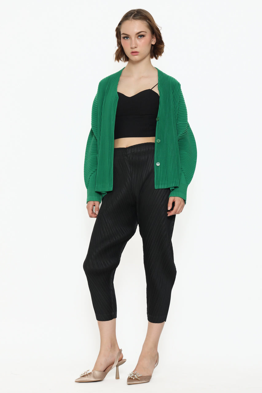 Bloom et Champs Vertical Outer Pleats/Parallel Pleats Pants