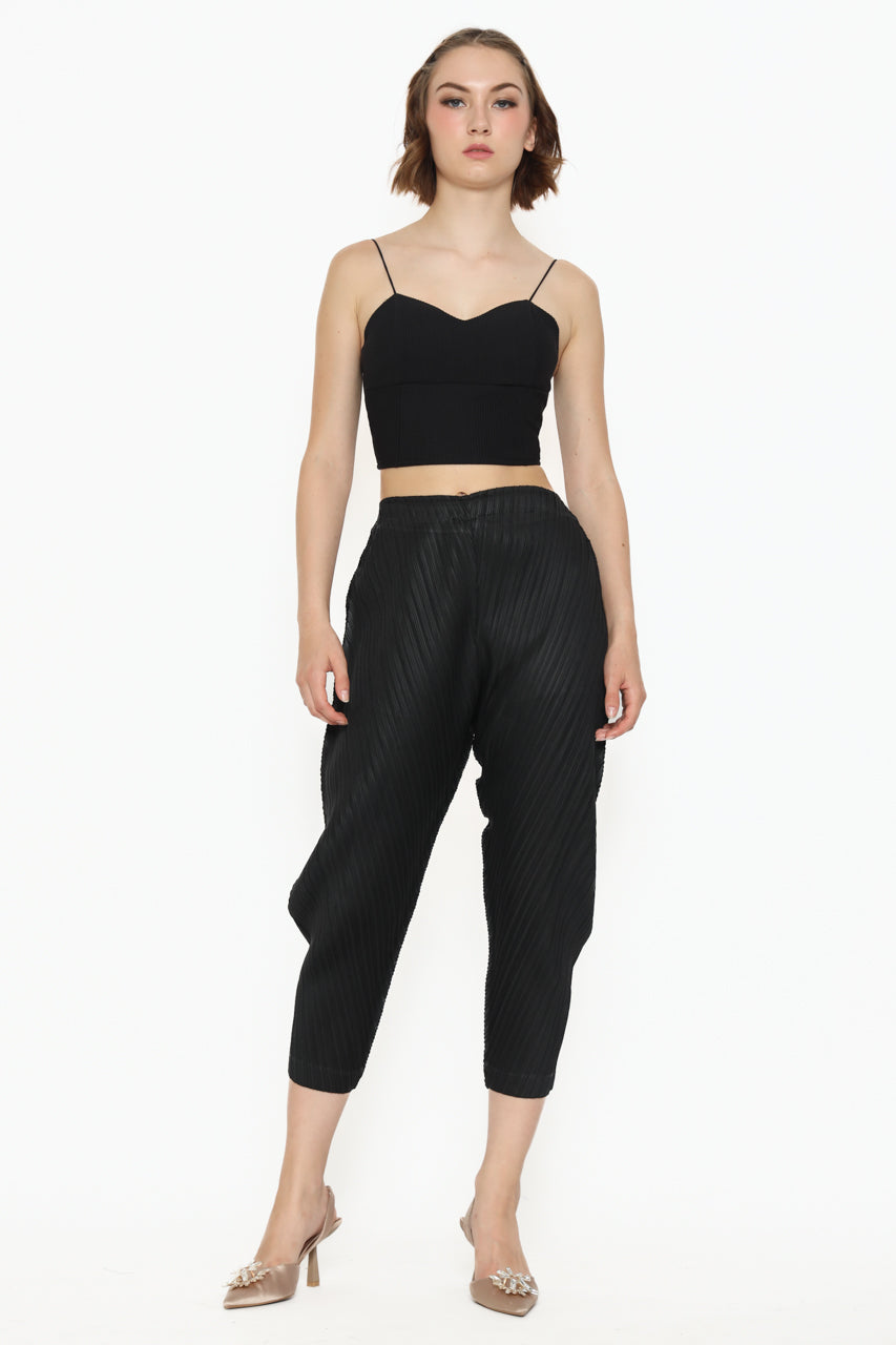 Bloom et Champs Vertical Outer Pleats/Parallel Pleats Pants