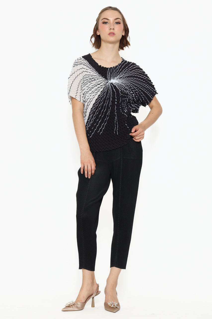 Bloom et Champs Stalactite Pleats/Textured Pleats Pants