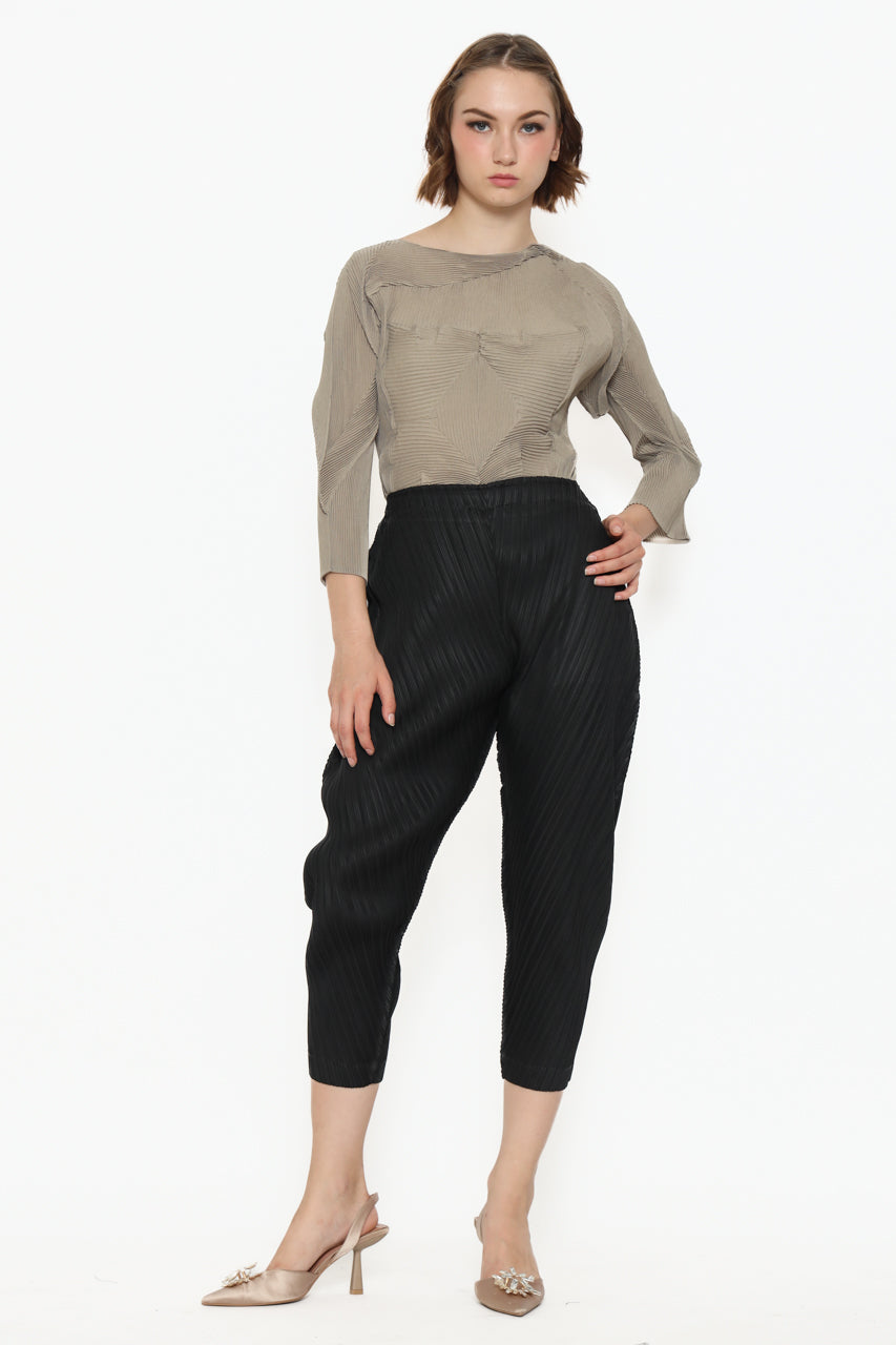 Bloom et Champs Crumpled Skin Tone Pleats Top/Parallel Pleats Pants