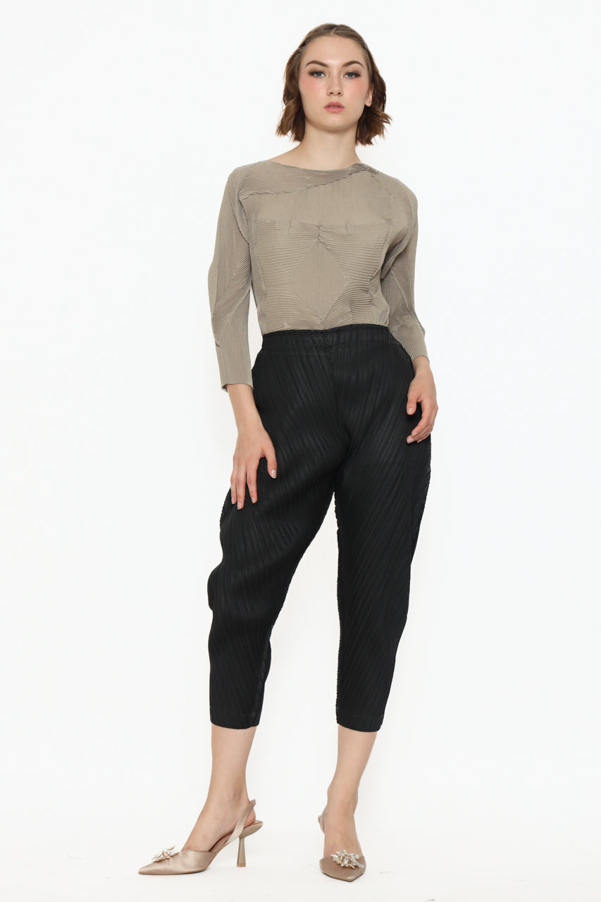 Bloom et Champs Crumpled Skin Tone Pleats Top/Parallel Pleats Pants