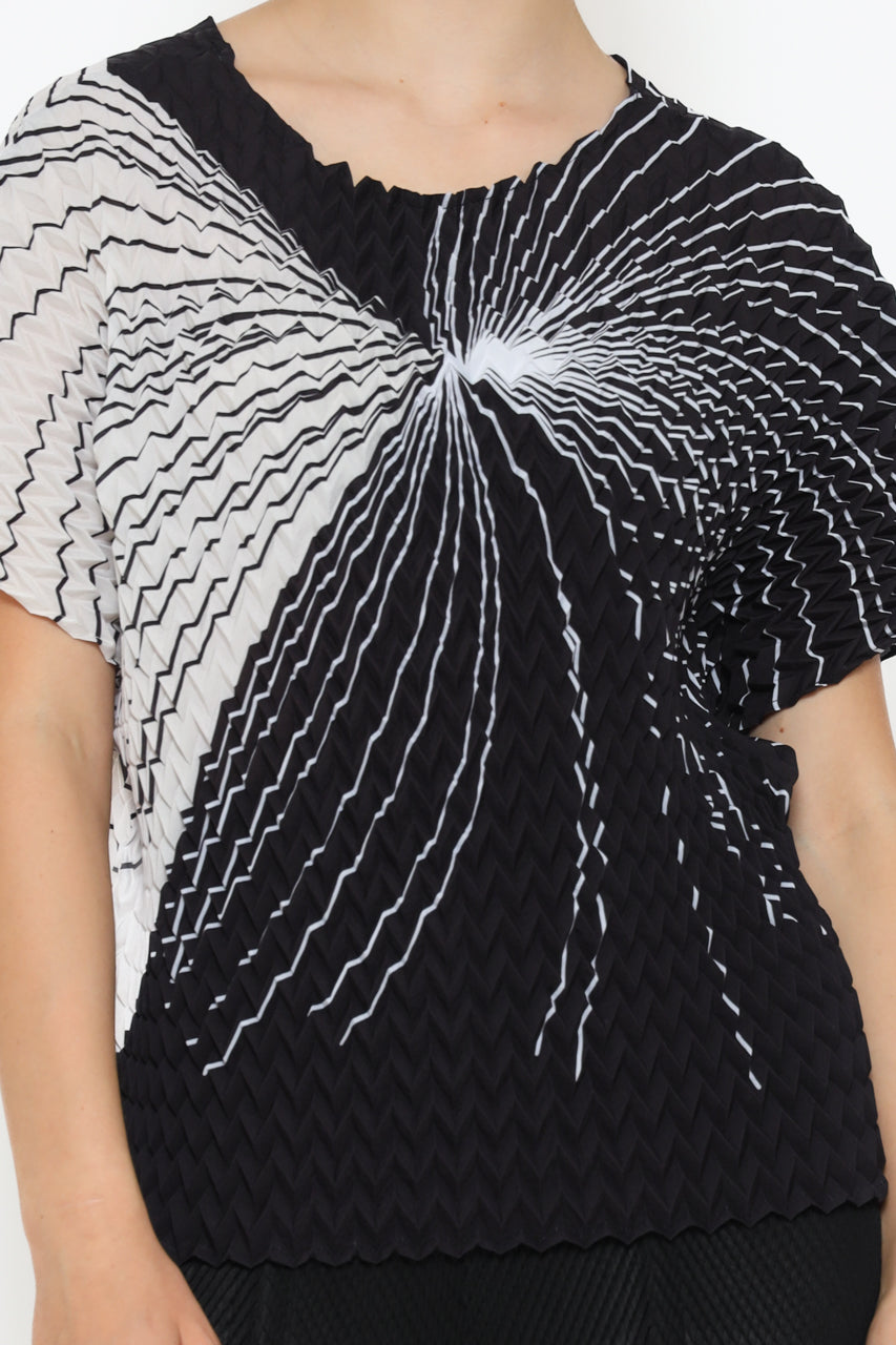 Bloom et Champs Stalactite Pleats/Textured Pleats Pants