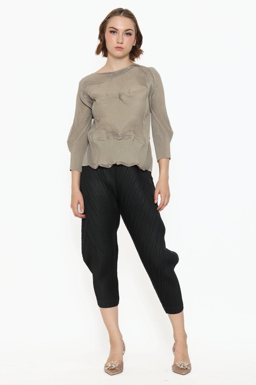 Bloom et Champs Crumpled Skin Tone Pleats Top/Parallel Pleats Pants