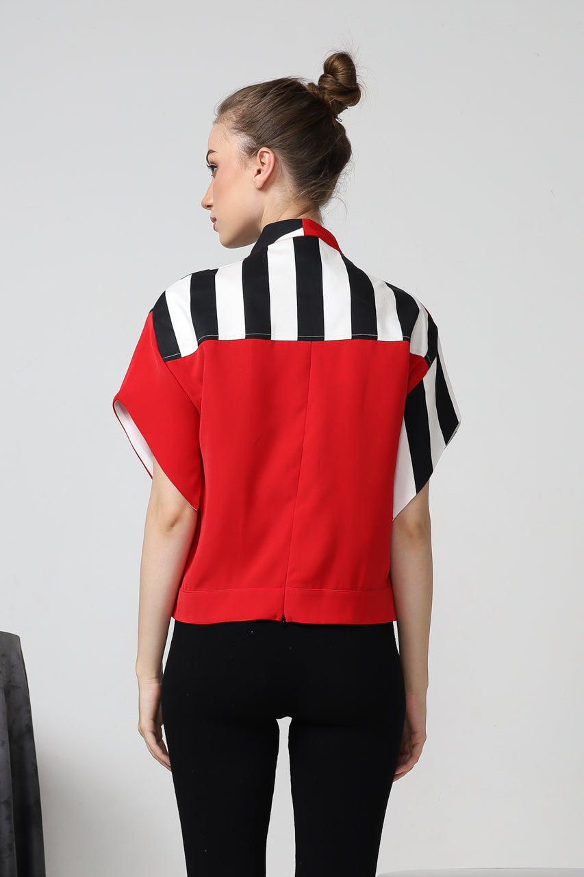 Bloom Et Champs Tulip Zebra Merah