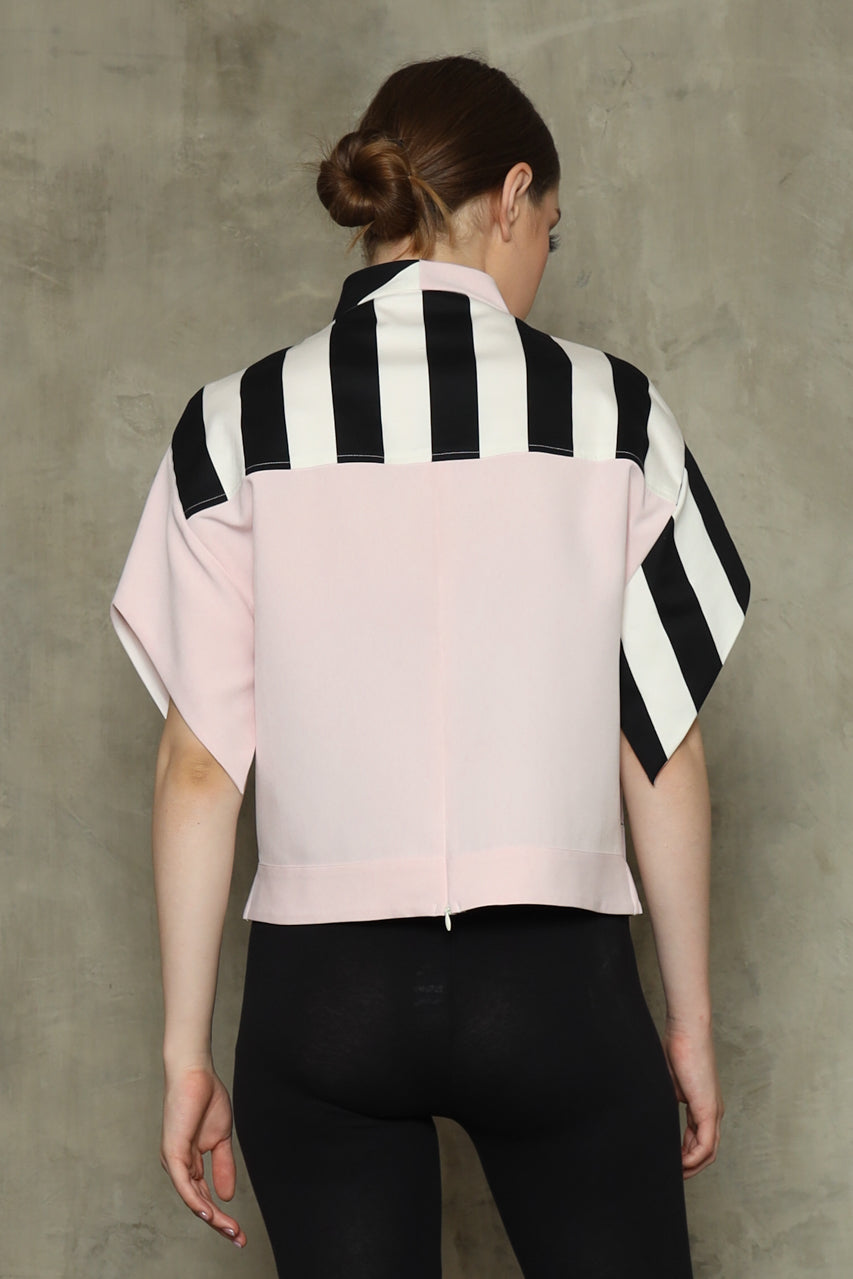 Bloom et Champs Top Tulip Zebra