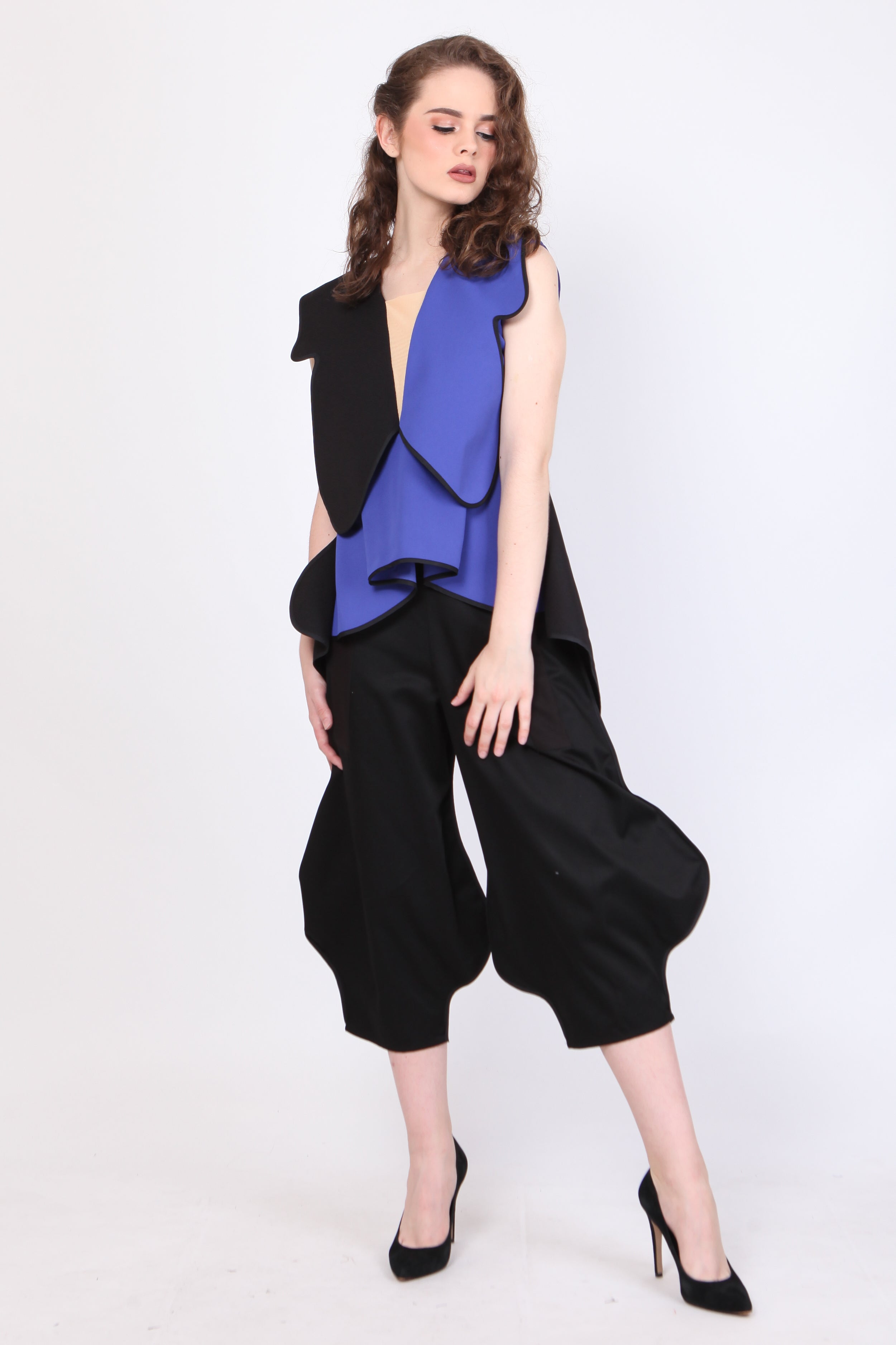 Top Kupu Kupu Biru